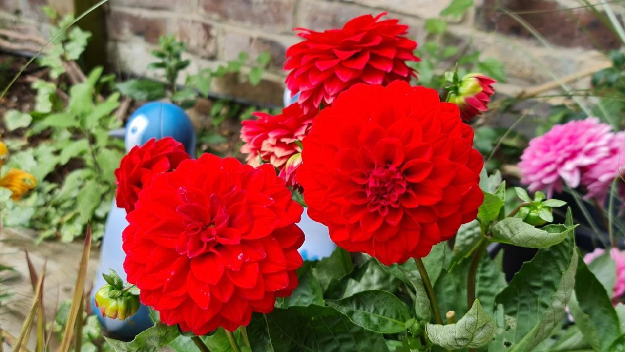 Cottage Grove Homestay Rooms بورتسماوث المظهر الخارجي الصورة